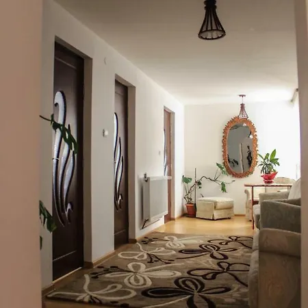 Casa Irina 3* Mînăstirea Humorului